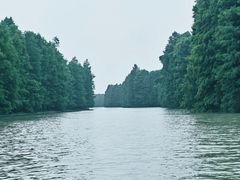 -上海海湾国家森林公园