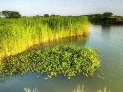 -同里国家湿地公园