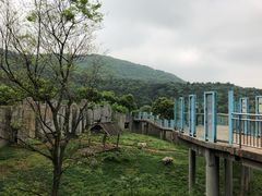 -无锡动物园·太湖欢乐园