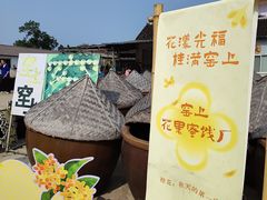-苏州市吴中区光福窑上花果蜜饯厂
