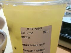 -东镇老火锅(长春路首店)