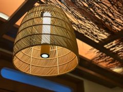 -芸鲜季·云南野生菌餐厅· 云南风物味研社(闵行店)