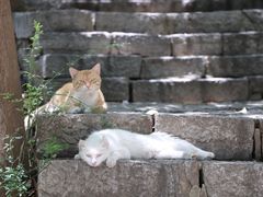 -云龙山