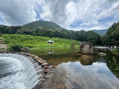 -广州市石门国家森林公园