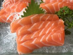 -春草居酒屋·晴子の店