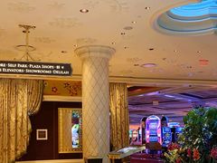 -拉斯维加斯永利酒店