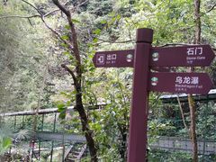 -夏霖九天银瀑风景区