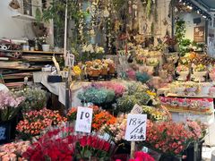 -循礼门鲜花花市(武汉循礼门店)