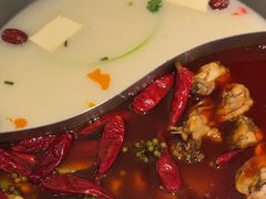 -麻田会 ·鲜活现烹·牛蛙火锅(珠江新城维家思广场店)