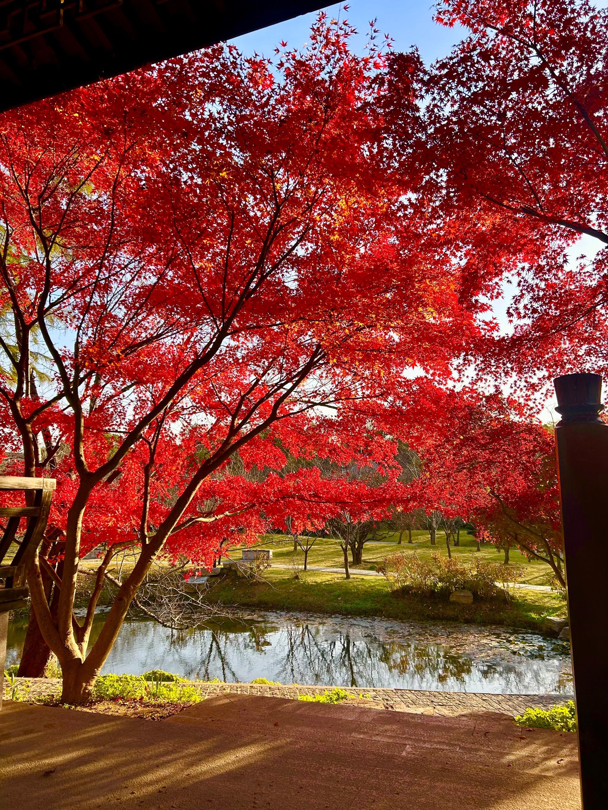 n石象路人挤人 来这里人少小众又出片05
	
99定位胭脂雪