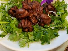 -九花山烤鸭店