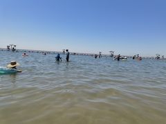 -碧海金沙