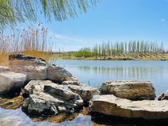 -马家湾湿地公园