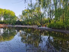 -玲珑塔公园