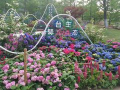 -武汉园博园(武汉自然博物馆)