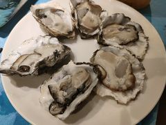 -千岛蚝高压锅生蚝·人参火锅(白云万达店)