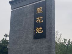 -莲花池公园