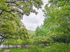 -莲花池公园