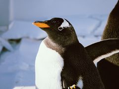 -鄂尔多斯野生动物园