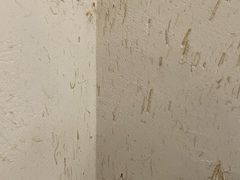 蜘蛛-甜心闲生传统手工冰粉(人民广场店)