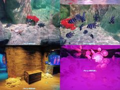 -沈阳海洋探索中心