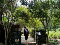 -野蔓果·山野菜(西湖景区·龙井茶田店)