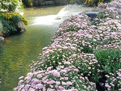 -杭州植物园