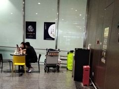 -麦当劳(北京大兴机场二层国内到达(安检外)店)