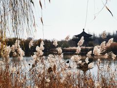 -青城公园