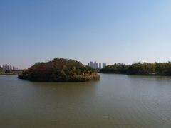 -塘沽森林公园
