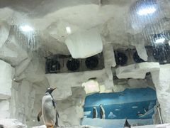 -华夏文旅海洋公园