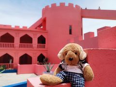 -漳州滨海火山岛自然生态风景区