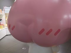 -KAKAO FRIENDS(弘大店)