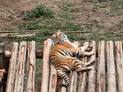 -泉州海丝野生动物世界