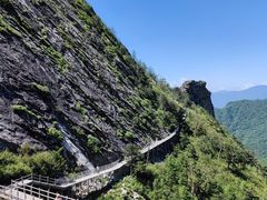-朱雀国家森林公园