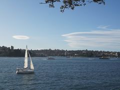 -麦考利夫人座椅