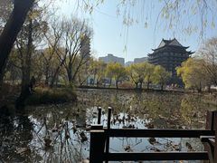 -长兴太湖图影湿地文化园