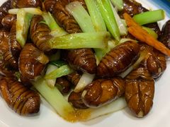 干煸蚕蛹-君霖海鲜私房菜(春柳店)