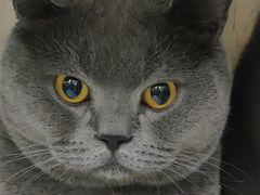 -爱侣宠医·鹦鹉专科·小型哺乳类·异宠专科(灵石路店)