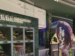 -芸山季·云南山珍菌火锅(南翔印象城MEGA店)