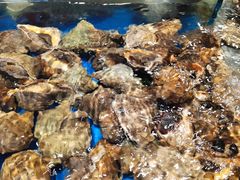 海螺-旺角小渔村(幸福中路店)