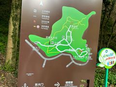 -上海佘山国家森林公园天马山园