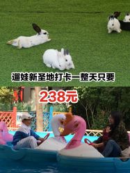 -萌宠亲子动物乐园(槐房万达店)