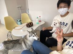 -怪兽屋·羊驼·猫咖·狗咖(俊华广场店)