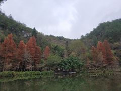 -桂林古东瀑布景区