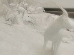 -中国湿地博物馆