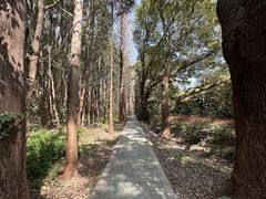 -同里国家湿地公园
