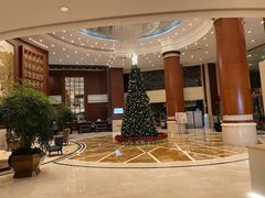 -上海圣淘沙万怡酒店