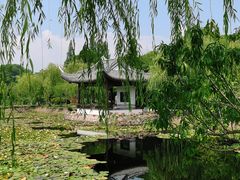 -无锡蠡湖国家湿地公园-蠡园