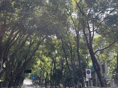 -杭州半山国家森林公园